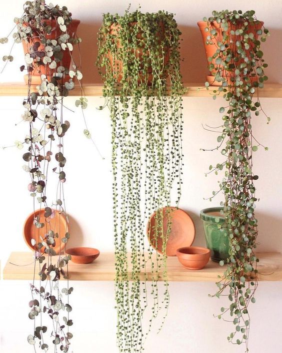 https://cuisiconcept.ca/wp-content/uploads/2020/07/Photo_1.jpg